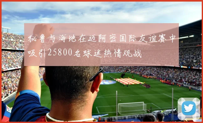 秘鲁与海地在迈阿密国际友谊赛中吸引25800名球迷热情观战
