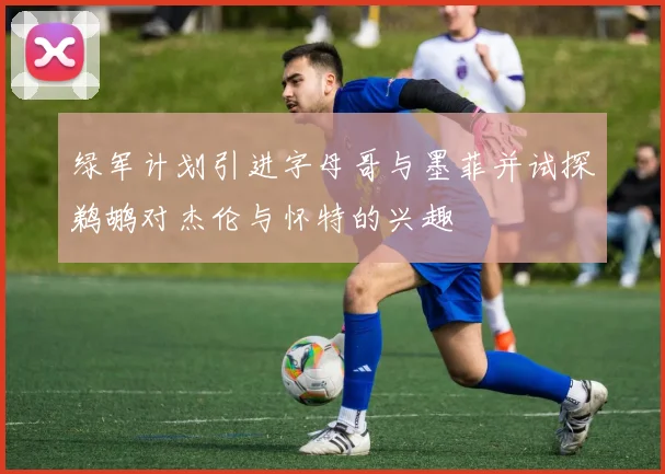 绿军计划引进字母哥与墨菲并试探鹈鹕对杰伦与怀特的兴趣